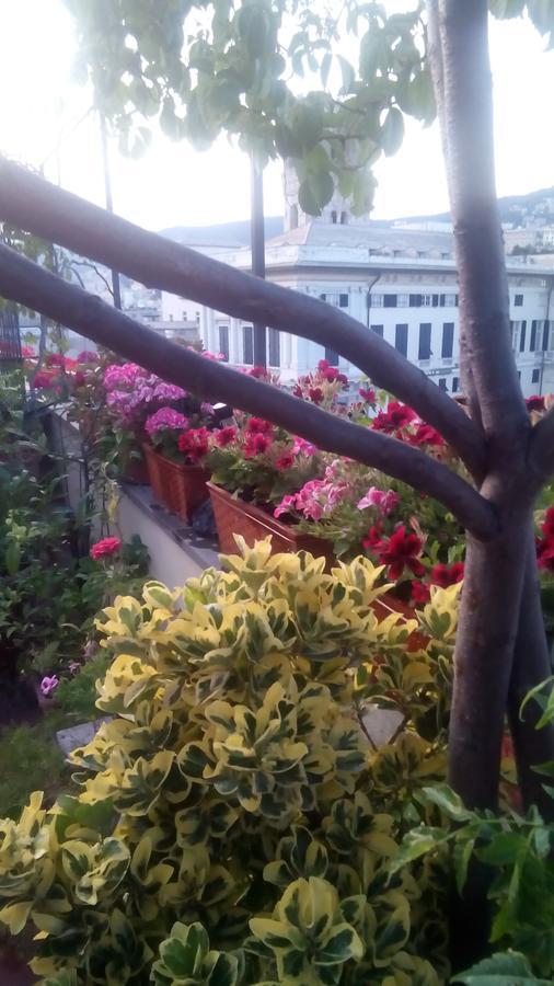 Bed And Breakfast " La Terrazza" Genova Kültér fotó